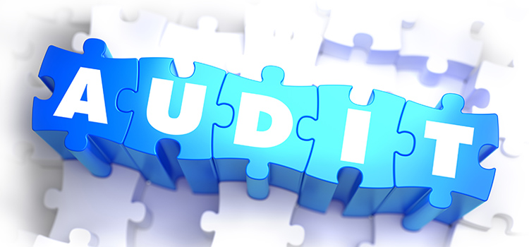 Power and Network Audit.jpg